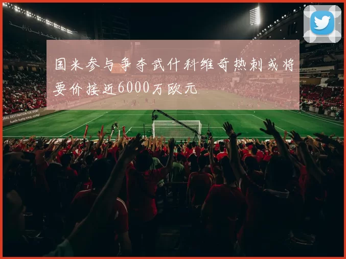 国米参与争夺武什科维奇热刺或将要价接近6000万欧元